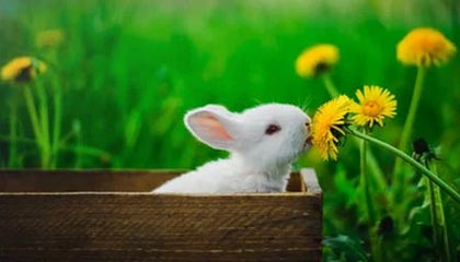 完美体育运营中心-视频 | 直击U23亚洲杯国足决赛前最后一练：队内氛围轻松